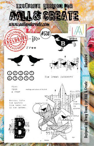 AALL & Create Clear Stamps A5 By Tracy Evans - #530 Blackbird
