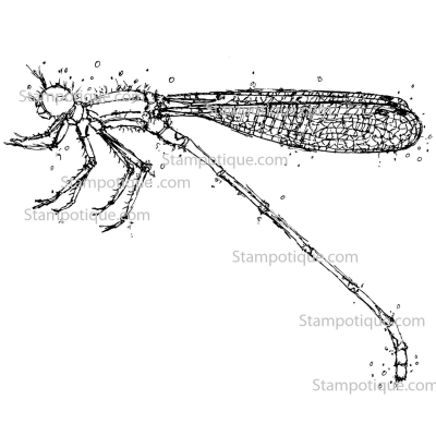 Stampotique Cling Stamp - 14049 Kassa's Dragonfly